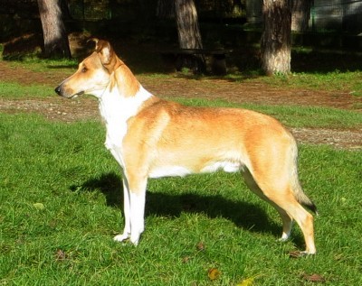 Mighty= s Spring Meadow Tier Tally